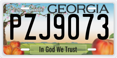 GA license plate PZJ9073