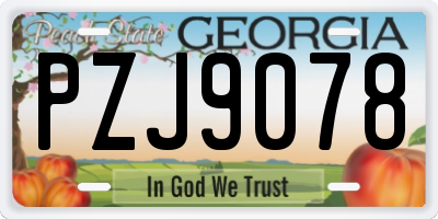 GA license plate PZJ9078