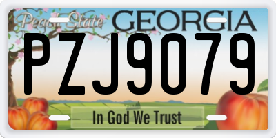 GA license plate PZJ9079