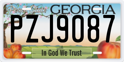 GA license plate PZJ9087