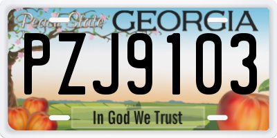 GA license plate PZJ9103