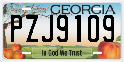 GA license plate PZJ9109