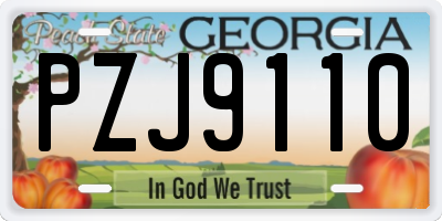GA license plate PZJ9110