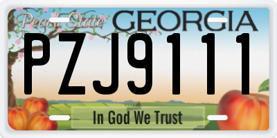 GA license plate PZJ9111