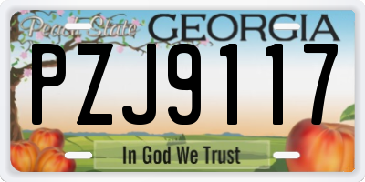 GA license plate PZJ9117