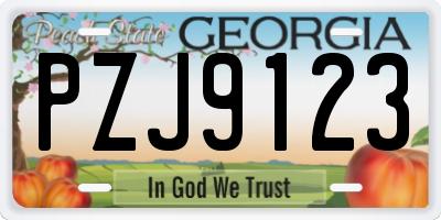 GA license plate PZJ9123