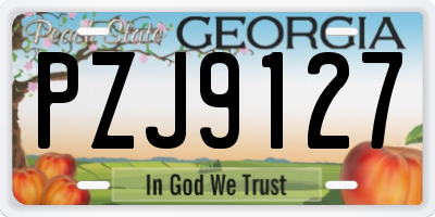 GA license plate PZJ9127