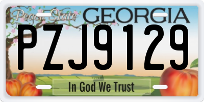 GA license plate PZJ9129