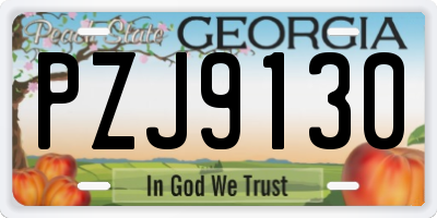 GA license plate PZJ9130