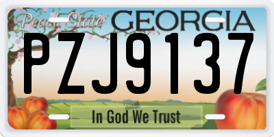 GA license plate PZJ9137