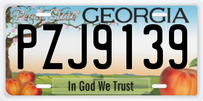 GA license plate PZJ9139