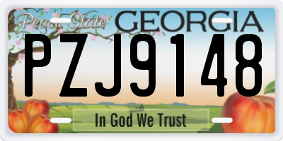 GA license plate PZJ9148