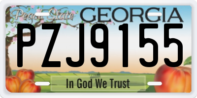 GA license plate PZJ9155
