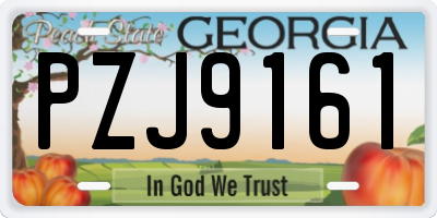 GA license plate PZJ9161