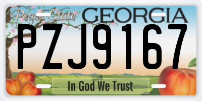 GA license plate PZJ9167