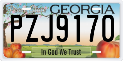 GA license plate PZJ9170