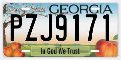 GA license plate PZJ9171