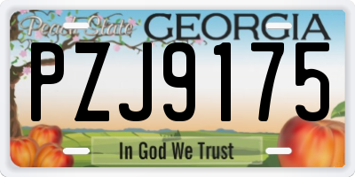 GA license plate PZJ9175