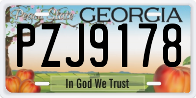 GA license plate PZJ9178