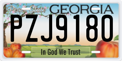 GA license plate PZJ9180
