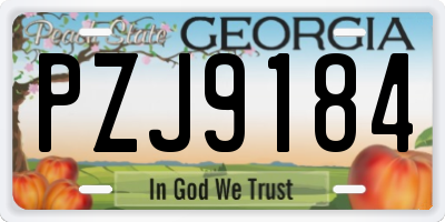 GA license plate PZJ9184