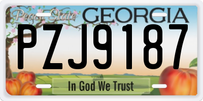 GA license plate PZJ9187
