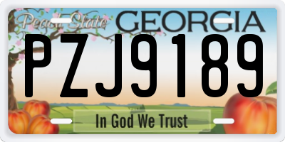 GA license plate PZJ9189