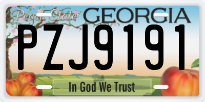 GA license plate PZJ9191