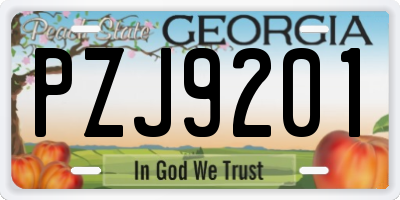 GA license plate PZJ9201