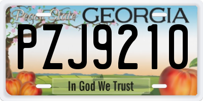 GA license plate PZJ9210