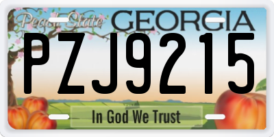GA license plate PZJ9215