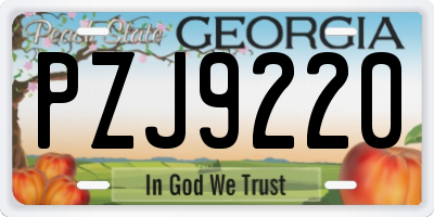 GA license plate PZJ9220