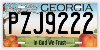 GA license plate PZJ9222