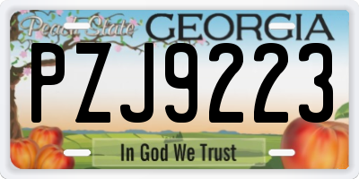 GA license plate PZJ9223