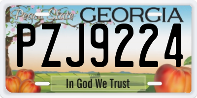 GA license plate PZJ9224