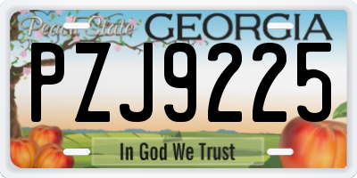 GA license plate PZJ9225