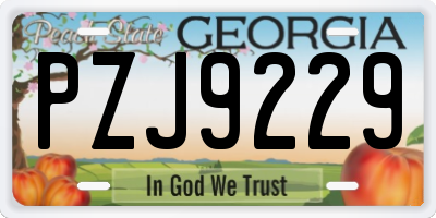 GA license plate PZJ9229