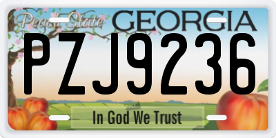 GA license plate PZJ9236