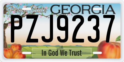 GA license plate PZJ9237
