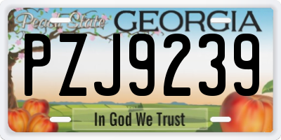 GA license plate PZJ9239