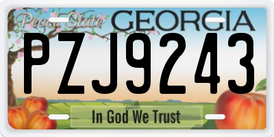 GA license plate PZJ9243