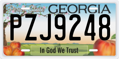GA license plate PZJ9248