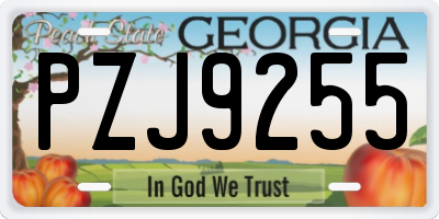 GA license plate PZJ9255