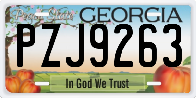 GA license plate PZJ9263