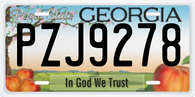 GA license plate PZJ9278