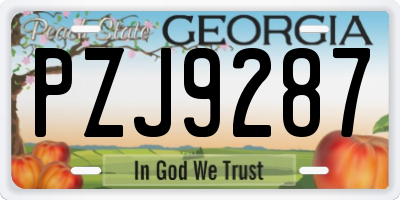 GA license plate PZJ9287