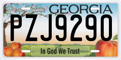 GA license plate PZJ9290