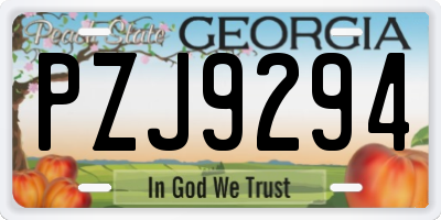 GA license plate PZJ9294