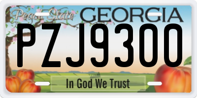 GA license plate PZJ9300