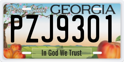GA license plate PZJ9301
